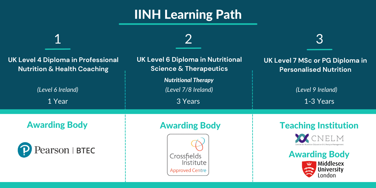 IINH Learning Path 2023