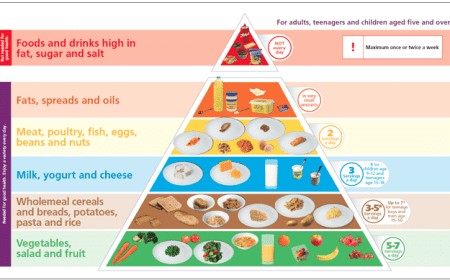 Food Pyramid