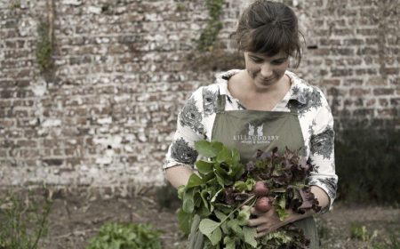 Interview with Fionnuala Brabazon