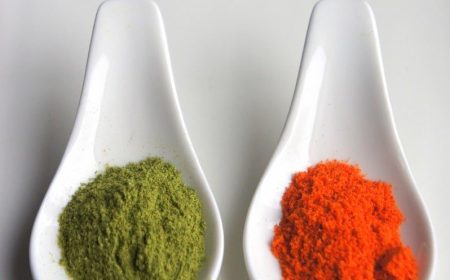 best superfood powders