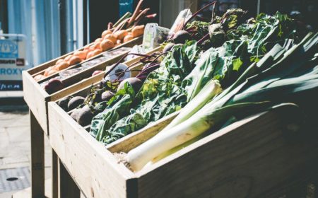 organic eating vegetables plant based food