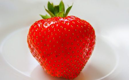 Strawberry on Plate